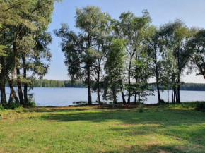 Pupiņi
